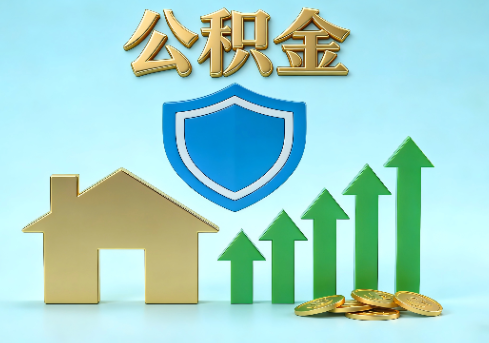 德州当前住房公积金提取条件分类指南与政策趋势